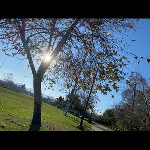 Meet your Posher, Zyllah